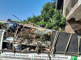 Best Same-Day Junk Removal Services  in Enigma, GA